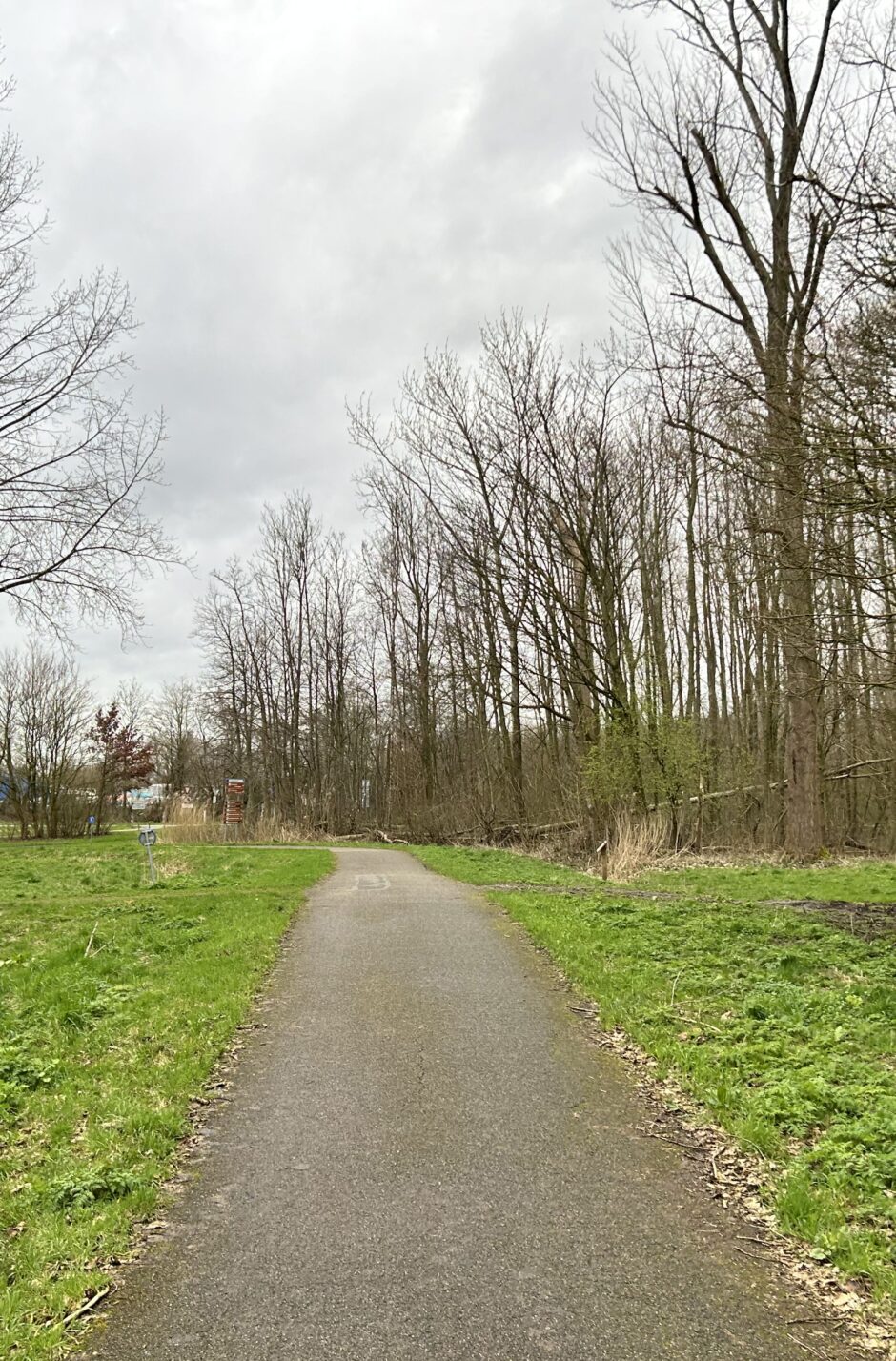 Bospad in Vlietland